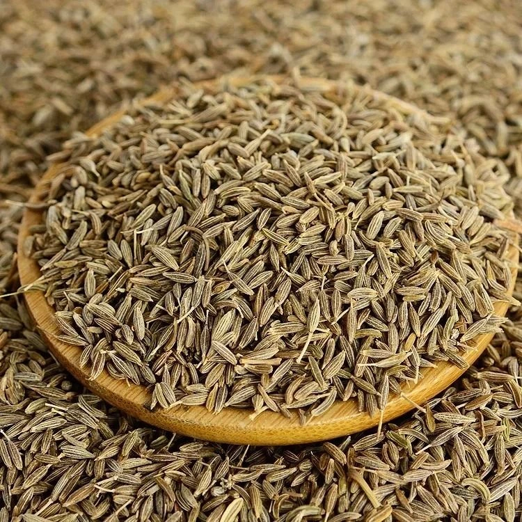 Cumin Seed