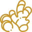 Curcumin Icon