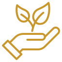 Leaf on hand Icon